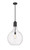 manufacturer_finish:Matte Black|manufacturer_glass:Clear|light_output:600.00lm|color_temperature:2700K|cri:82