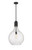 manufacturer_finish:Matte Black|manufacturer_glass:Seedy|light_output:220.00lm|color_temperature:2200K|cri:99
