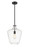 manufacturer_finish:Matte Black|manufacturer_glass:Clear|light_output:220.00lm|color_temperature:2200K|cri:99