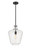 manufacturer_finish:Matte Black|manufacturer_glass:Seedy|light_output:600.00lm|color_temperature:2700K|cri:82