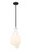 manufacturer_finish:Matte Black|manufacturer_glass:Matte White|light_output:220.00lm|color_temperature:2200K|cri:99