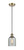 manufacturer_finish:Antique Brass|manufacturer_glass:Charcoal|light_output:220.00lm|color_temperature:2200K|cri:99