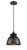 manufacturer_finish:Matte Black|manufacturer_glass:Matte Black|light_output:220.00lm|color_temperature:2200K|cri:99