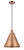 manufacturer_finish:Antique Copper|manufacturer_glass:Antique Copper|light_output:600.00lm|color_temperature:2700K|cri:82