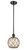 manufacturer_finish:Oil Rubbed Bronze|manufacturer_glass:Clear Farmhouse Glass with Brown Rope|light_output:600.00lm|color_temperature:2700K|cri:82