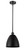 manufacturer_finish:Matte Black|manufacturer_glass:Matte Black|light_output:600.00lm|color_temperature:2700K|cri:82