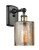 manufacturer_finish:Black Antique Brass|manufacturer_glass:Mercury|light_output:220.00lm|color_temperature:2200K|cri:99