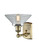 manufacturer_finish:Antique Brass|manufacturer_glass:Clear|light_output:220.00lm|color_temperature:2200K|cri:99