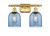 manufacturer_finish:Satin Gold|manufacturer_glass:Blue Bella|light_output:220.00lm|color_temperature:2200K|cri:99