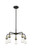 manufacturer_finish:Black Antique Brass