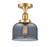 manufacturer_finish:Satin Gold|manufacturer_glass:Light Smoke|light_output:220.00lm|color_temperature:2200K|cri:99