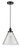manufacturer_finish:Oil Rubbed Bronze|manufacturer_glass:Clear|light_output:600.00lm|color_temperature:2700K|cri:82