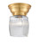 Innovations - 623-1F-SG-G302 - One Light Flush Mount - Franklin Restoration - Satin Gold