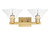 Arcadia Two Light Bath Vanity (716-2W-BB-G132)