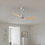 Alessandra 42" Ceiling Fan (AK-BN-LM-42)