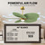 Alessandra Tropical - LK Five Blade Ceiling Fan (AKTPLK-BRBR-PL)