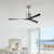 Molly Ceiling Fan (MK-BN-BK)
