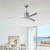 Molly Ceiling Fan (MK-BN-BW)