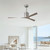 Molly Ceiling Fan (MK-BN-GA)