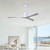 Molly Ceiling Fan (MK-WH-BW)