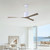 Molly Ceiling Fan (MK-WH-GA)