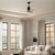 Patricia-3 42" Ceiling Fan (PA3-BK-LM-42)