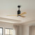Patricia-3 52" Ceiling Fan (PA3-BK-LM-52)
