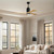 Patricia-3 60" Ceiling Fan (PA3-BK-LM-60)