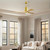 Patricia-3 60" Ceiling Fan (PA3-BRBR-LM-60)
