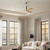 Patricia-3 52" Ceiling Fan (PA3-CR-LM-52)