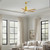 Patricia-5 52" Ceiling Fan (PA5-BRBR-LM-52)