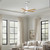 Patricia-5 52" Ceiling Fan (PA5-WH-LM-52)
