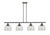 manufacturer_finish:Oil Rubbed Bronze|manufacturer_glass:Clear|light_output:600.00lm|color_temperature:2700K|cri:82