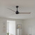 manufacturer_finish:Matte Black/Gray Ash Tone