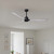 manufacturer_finish:Matte Black/Barn Wood Tone