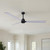 manufacturer_finish:Matte Black/Brushed Nickel