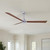 manufacturer_finish:Brushed Nickel/Walnut Tone