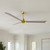 manufacturer_finish:Brushed Brass/Gray Ash Tone