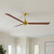 manufacturer_finish:Brushed Brass/Walnut Tone