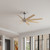manufacturer_finish:Brushed Nickel/Light Maple Tone