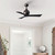 manufacturer_finish:Textured Bronze/Matte Black|voltage:110.00V