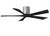 manufacturer_finish:Brushed Nickel/Matte Black|voltage:110.00V