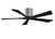 manufacturer_finish:Brushed Pewter/Matte Black|voltage:Unspecified