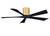 manufacturer_finish:Light Maple/Matte Black|voltage:Unspecified