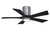 manufacturer_finish:Brushed Pewter/Matte Black|light_output:Unspecified