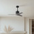manufacturer_finish:Matte Black/Barn Wood Tone|voltage:110.00V
