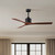 manufacturer_finish:Matte Black/Walnut Tone