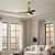 manufacturer_finish:Brushed Brass/Matte Black|light_output:Unspecified