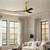 manufacturer_finish:Brushed Brass/Matte Black|light_output:Unspecified