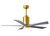 manufacturer_finish:Brushed Brass/Barn Wood Tone|light_output:Unspecified|voltage:110.00V